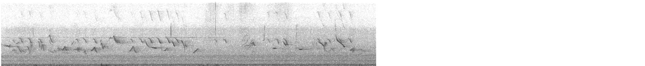 House Finch - ML246376861