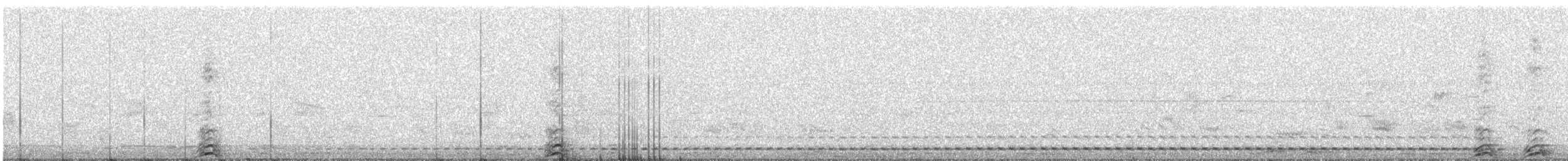 Chevêchette cuculoïde - ML24637721