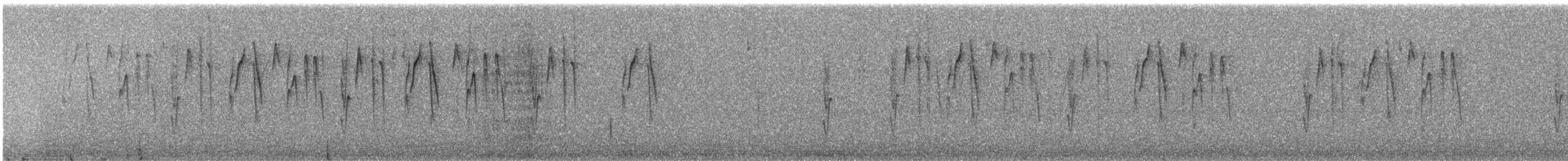 Kara Başlı Hemispingus - ML246408