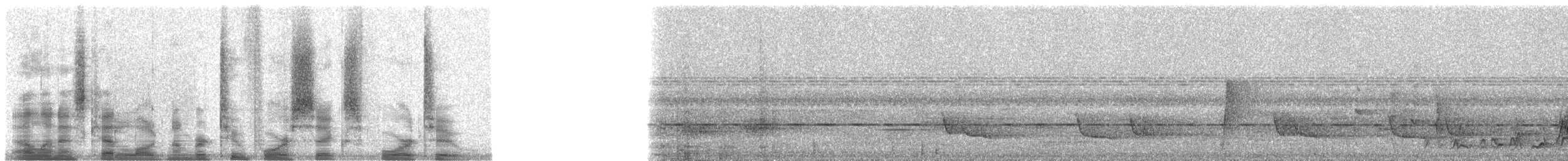 Joyful Greenbul - ML24642