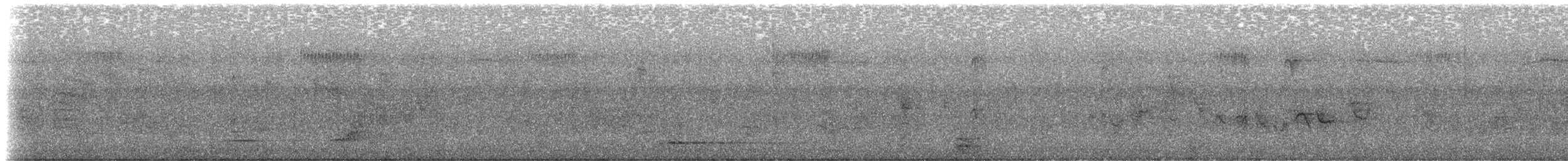 Northern Bobwhite - ML246436011