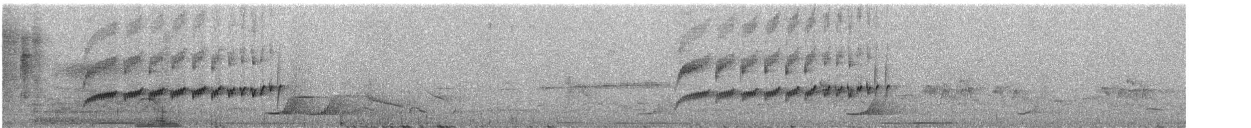 Slaty Becard - ML246444