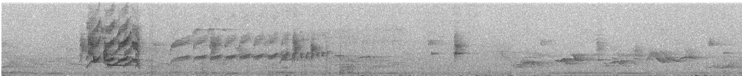 Slaty Becard - ML246445