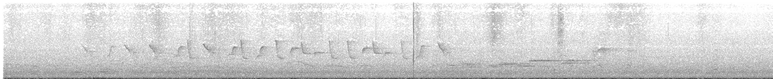 gransanger (tristis) (sibirgransanger) - ML246446181