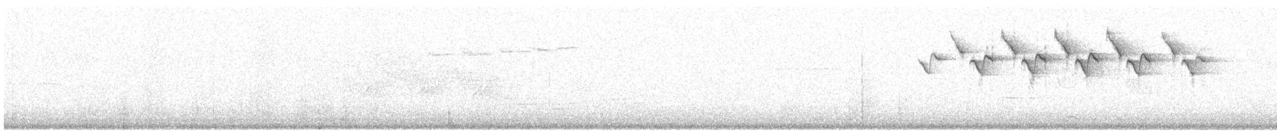 lesňáček černobílý - ML246448381