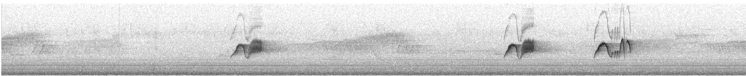 Светлобрюхий фиби - ML246448471