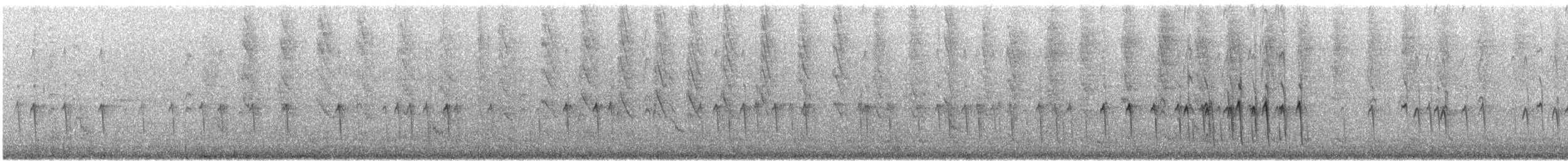 Fichtenkreuzschnabel (Typ 12) - ML246448571