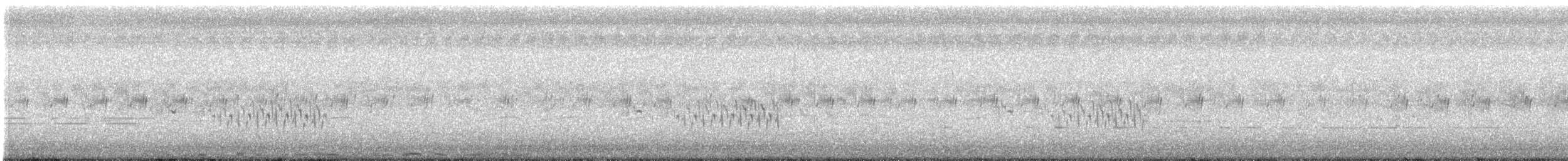褐頭鷦鶯 - ML246452441