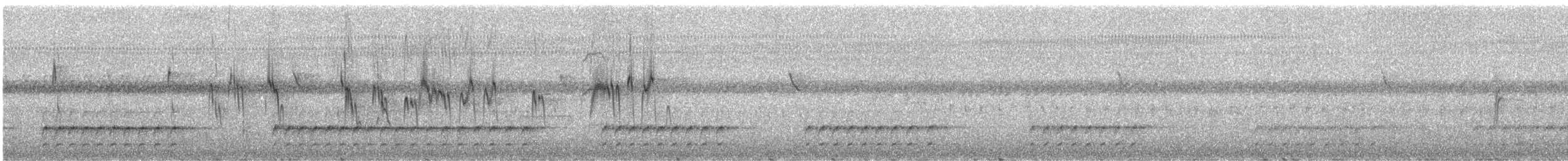 ハイゴシハリオアマツバメ（sclateri グループ） - ML246462