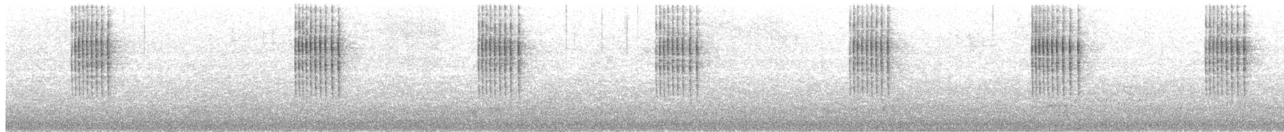 Troglodyte de Baird - ML246462481