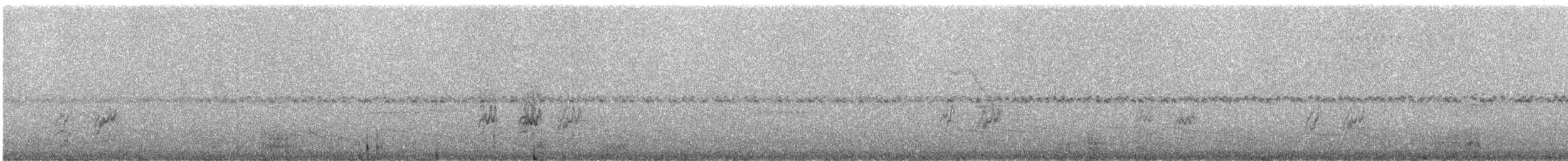 Spot-winged Parrotlet - ML246472