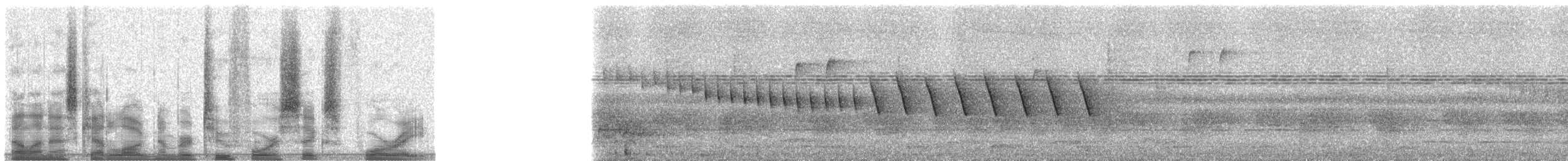 Turner's Eremomela - ML24648