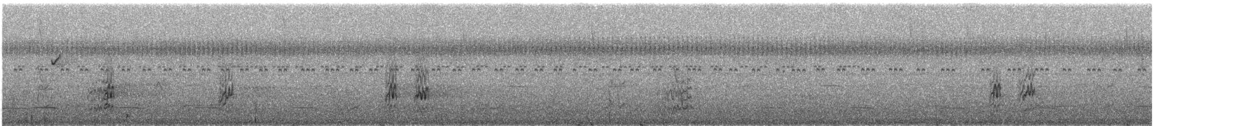 Spot-winged Parrotlet - ML246484