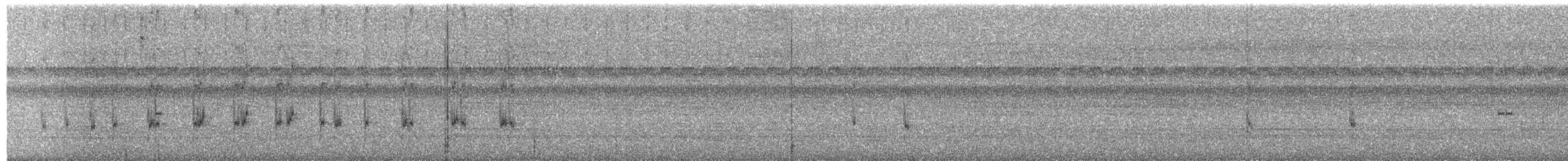 Microtyran oreillard - ML24648501
