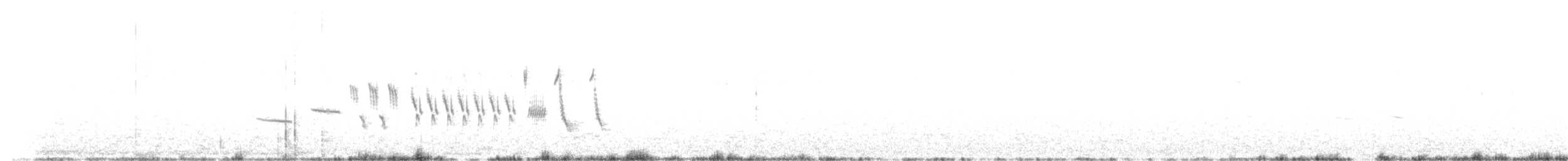 オジロヒメドリ - ML246513871