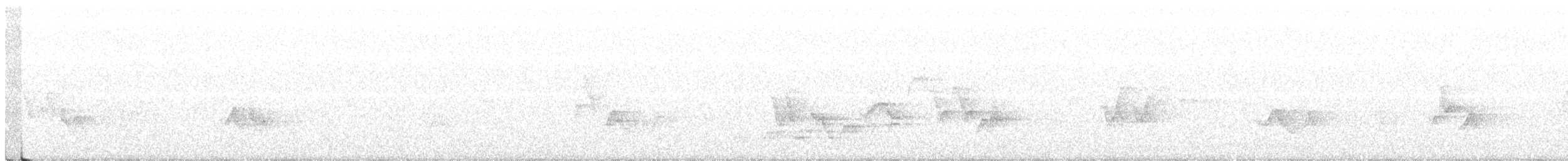 brunkinnskogtrost (swainsoni gr.) - ML246523211