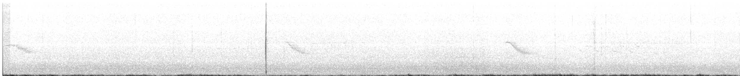 Дрізд-короткодзьоб канадський - ML246523251