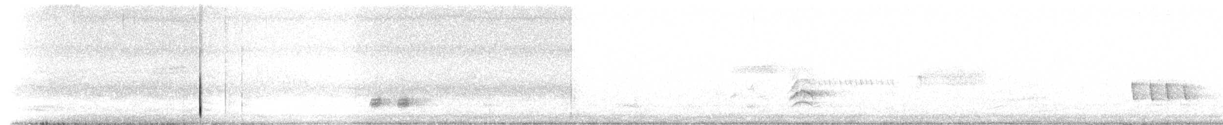 Beyaz Göğüslü Sıvacı (aculeata/alexandrae) - ML246523961