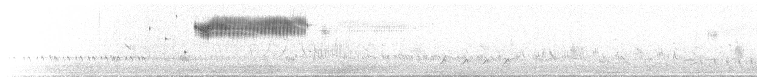 Кузнечиковая овсянка-барсучок - ML246569051