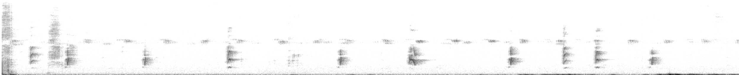 Белокрылый трупиал - ML246577191