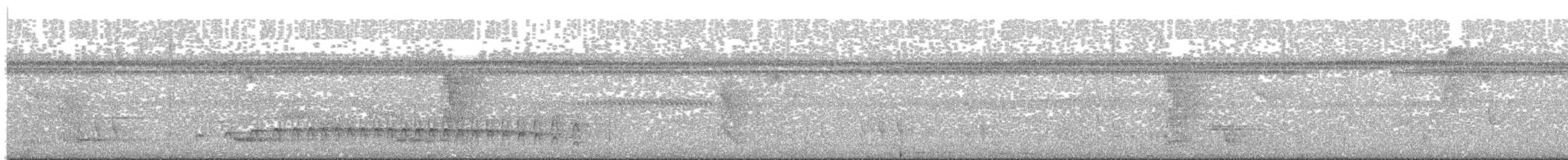 Weißbrauen-Ameisenfänger - ML246582911