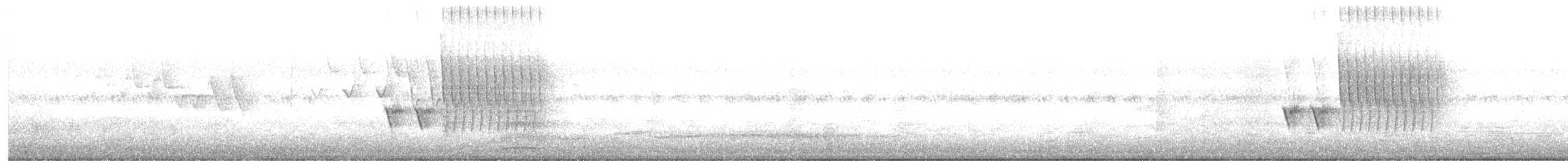Spotted Towhee - ML246583741