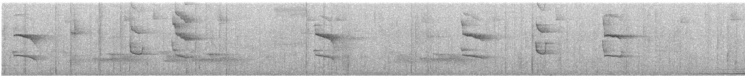 Дереволаз плямистолобий (підвид affinis/lignicida) - ML246587461