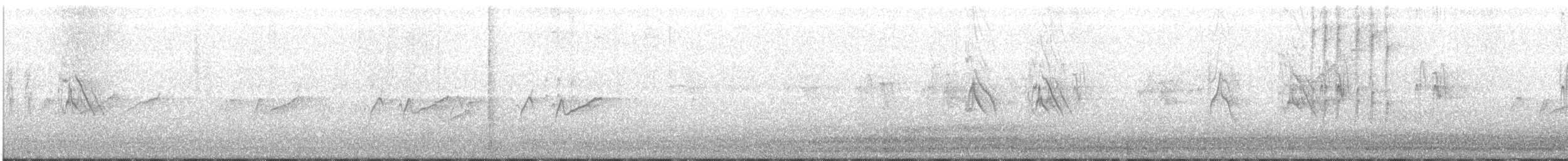 vlaštovka obecná (ssp. erythrogaster) - ML246590471