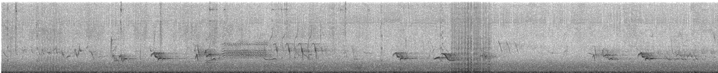 American Robin - ML246590621