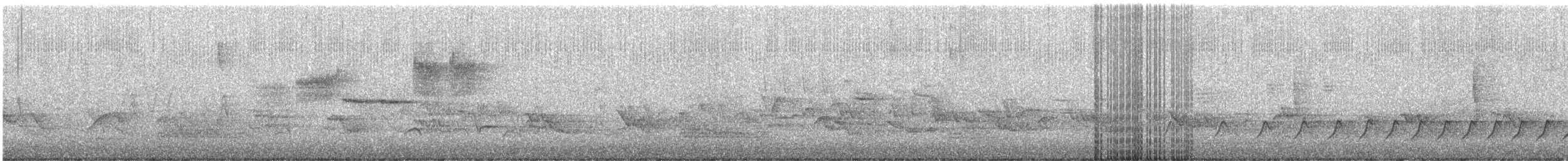 Black-throated Green Warbler - ML246590781