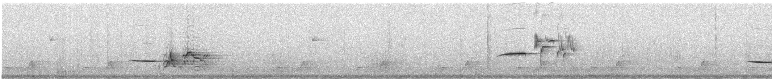 Münzevi Bülbül Ardıcı [auduboni grubu] - ML246602451