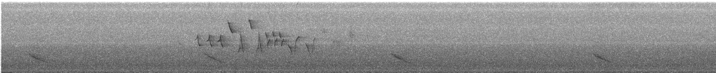 Дрізд-короткодзьоб бурий - ML246603941