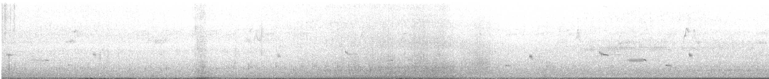 Western Whipbird (Black-throated) - ML246616601