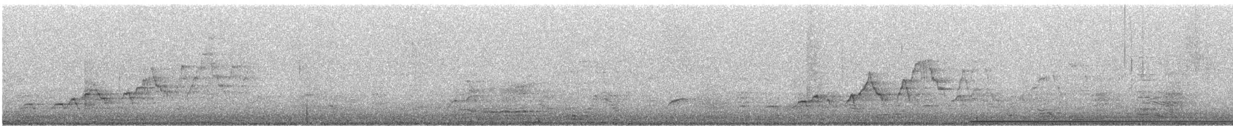 Дрізд-короткодзьоб Cвенсона - ML246634701