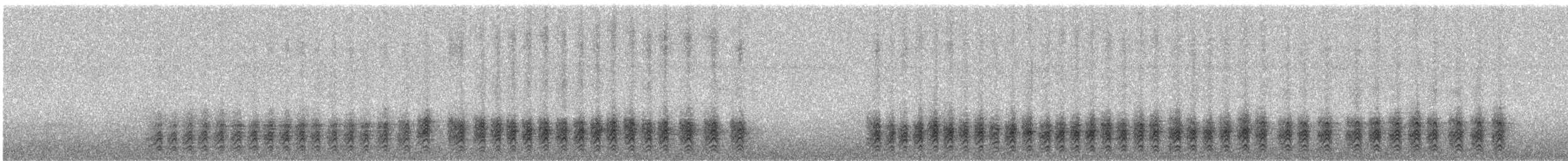 Gelbschnabelkassike (australis) - ML246648