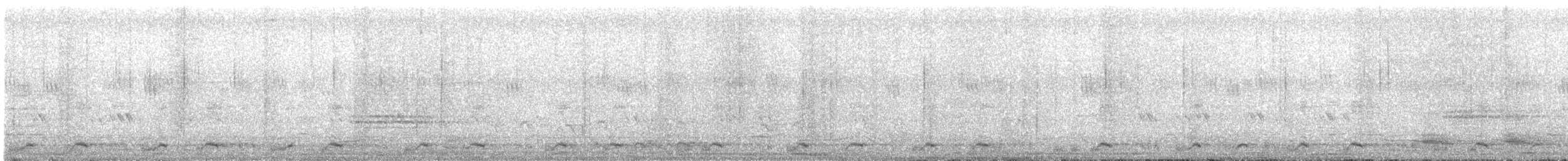白腹秧雞 - ML246648021