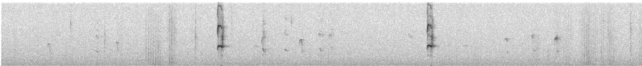 Светлоглазая курэта - ML246652