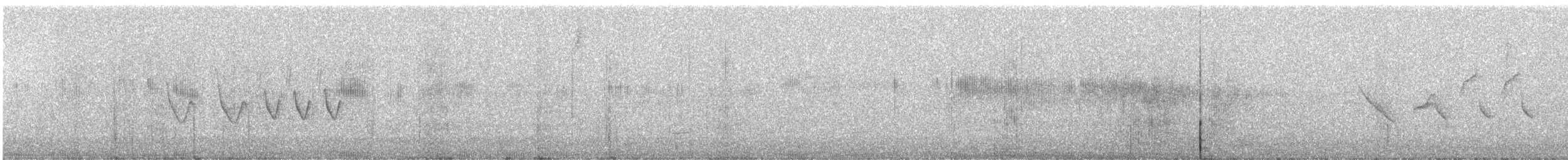Колібрі-іскринка білочеревий - ML246653