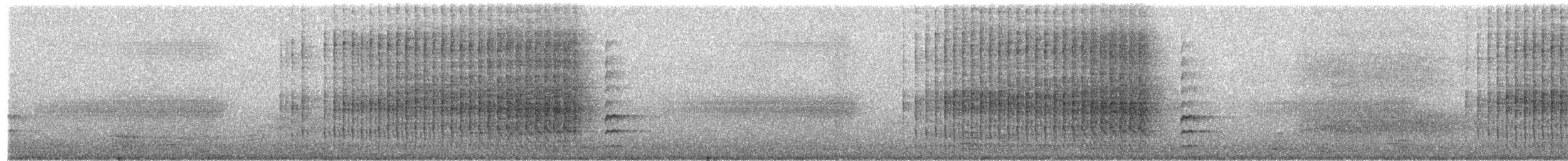 asurskjære (cyanus gr.) - ML246653921