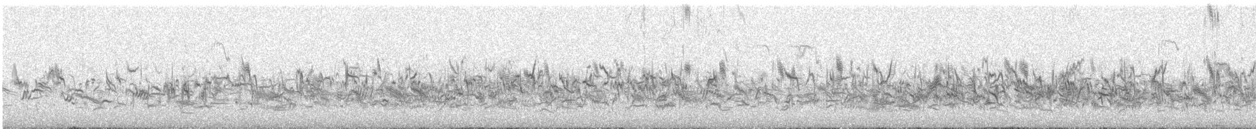 Lapland Longspur - ML246672021