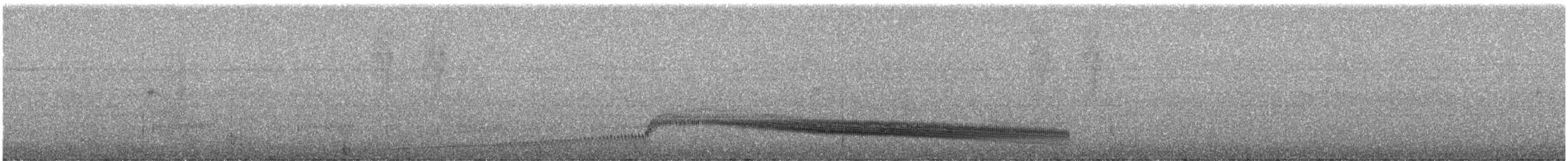 Swallow-tailed Nightjar - ML246703