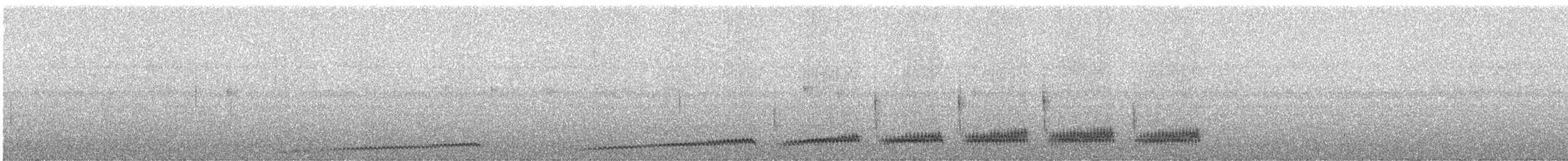 Swallow-tailed Nightjar - ML246704