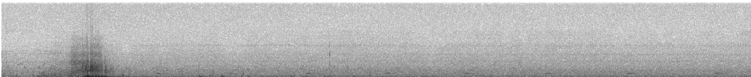 Grallaire de Ridgely - ML246715