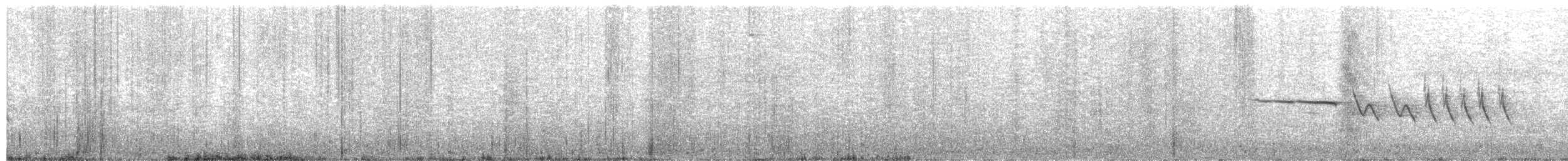 strnadec bělopásý - ML246721011
