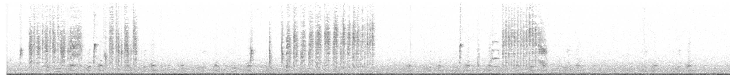 Troglodyte des marais - ML24672591