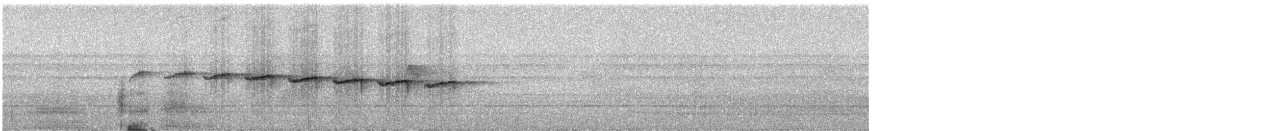 Тёмный тенелюб (peruvianus) - ML246730