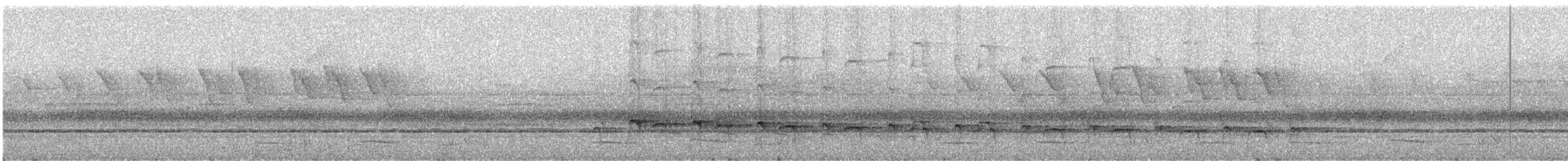 meiseltreløper (orenocensis gr.) - ML246735