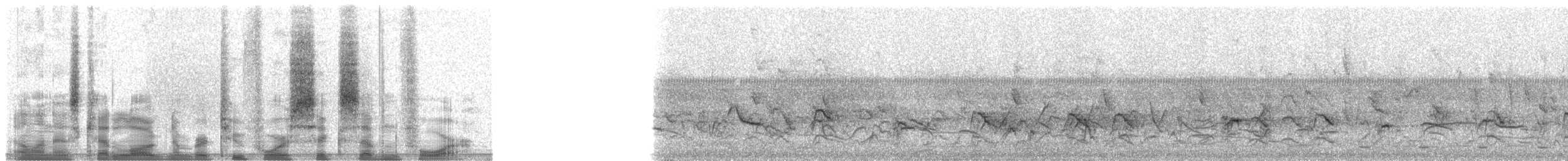 Narrow-tailed Starling - ML24674