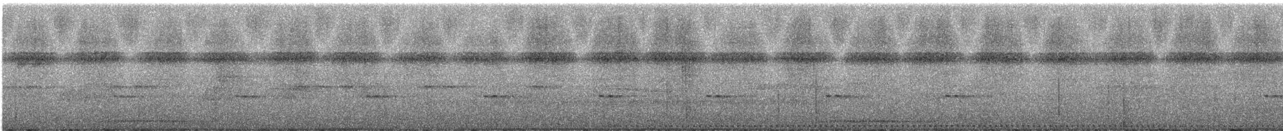 Cabézon à nuque blanche - ML246768