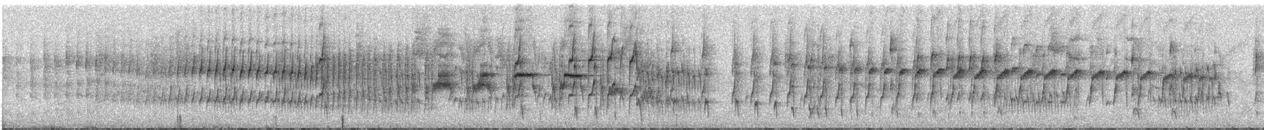 Olivrücken-Baumschlüpfer (antisiensis/palamblae) - ML246790